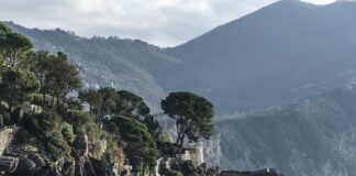 Ile kosztuje redakcją i korekta tekstu?