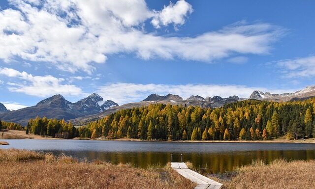 Gdzie można odbyć staż?